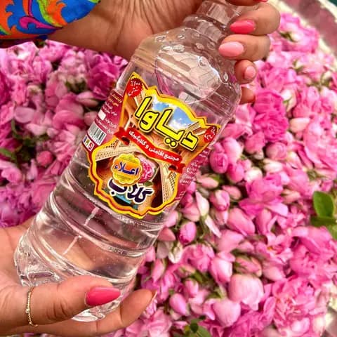 لحظه‌ای از دیاوا