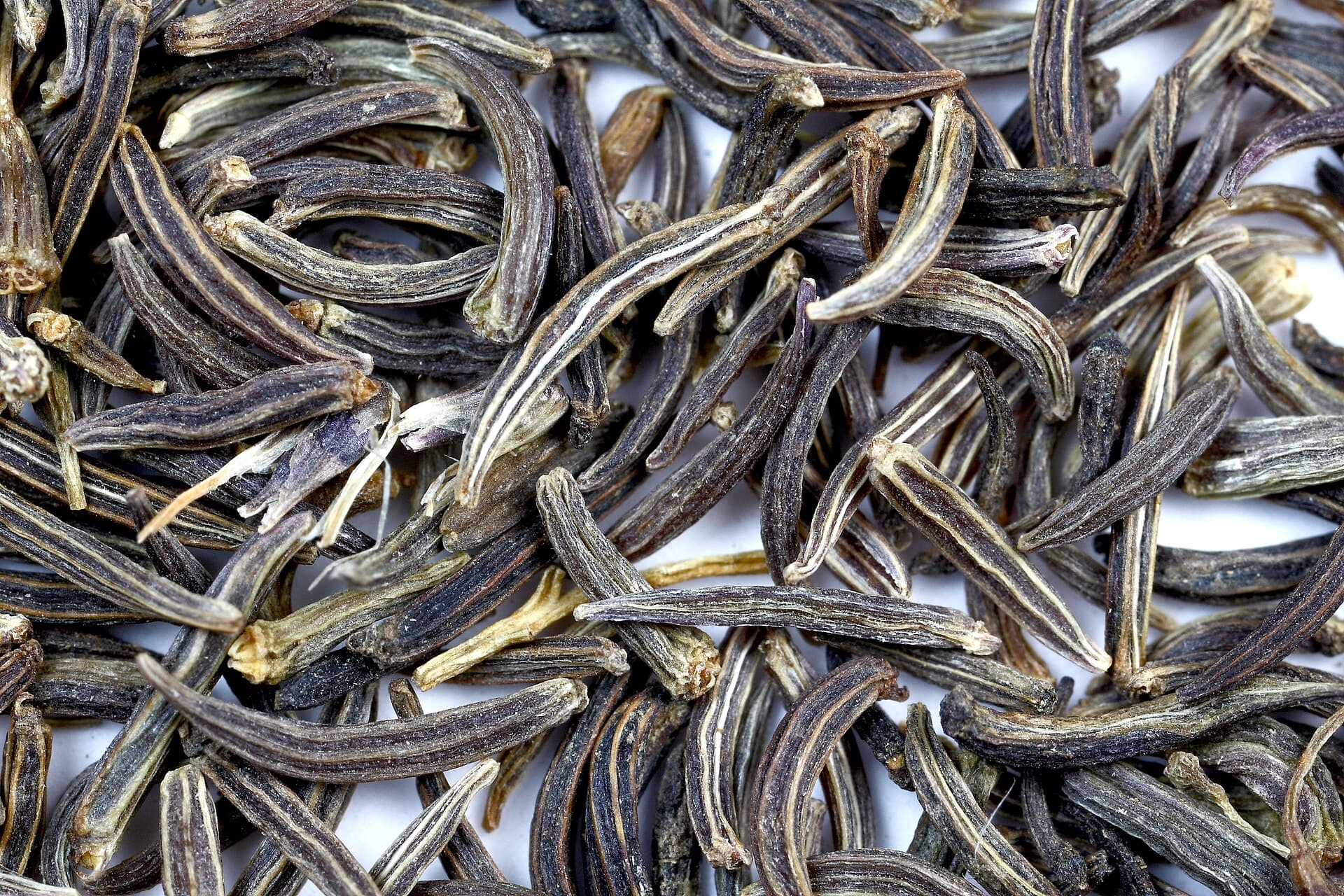 زیرهٔ سیاه — Bunium persicum