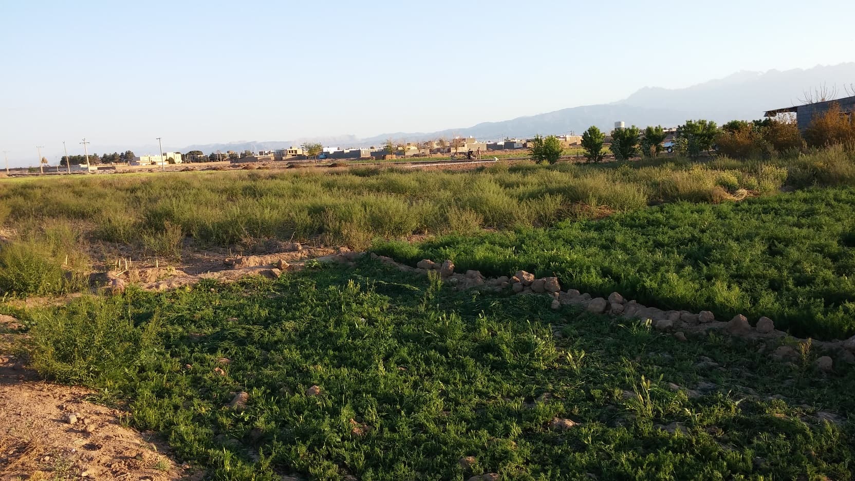 مزرعههای روستای دهآباد در نورِ غروب