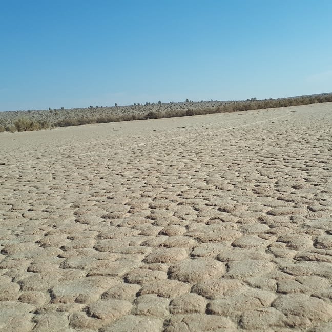 🏜 دغرباچه؛ dagharbache — تصویر ۲
