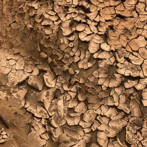 🏜