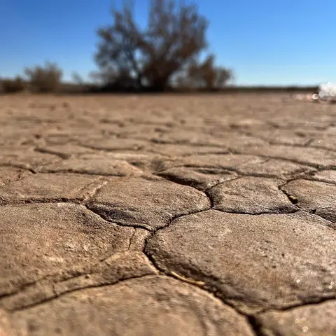 🏜