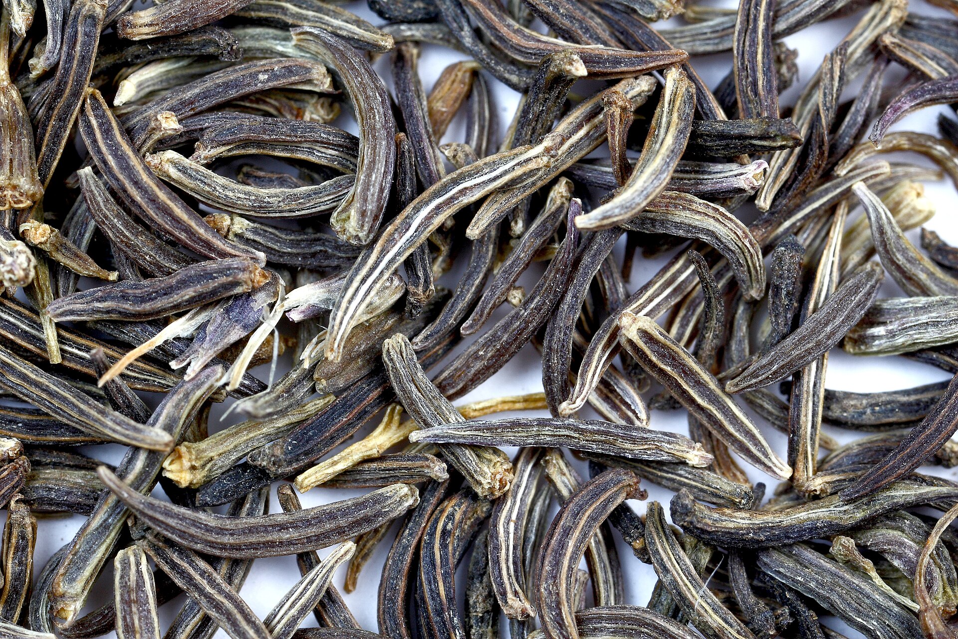 زیرهٔ سیاه
