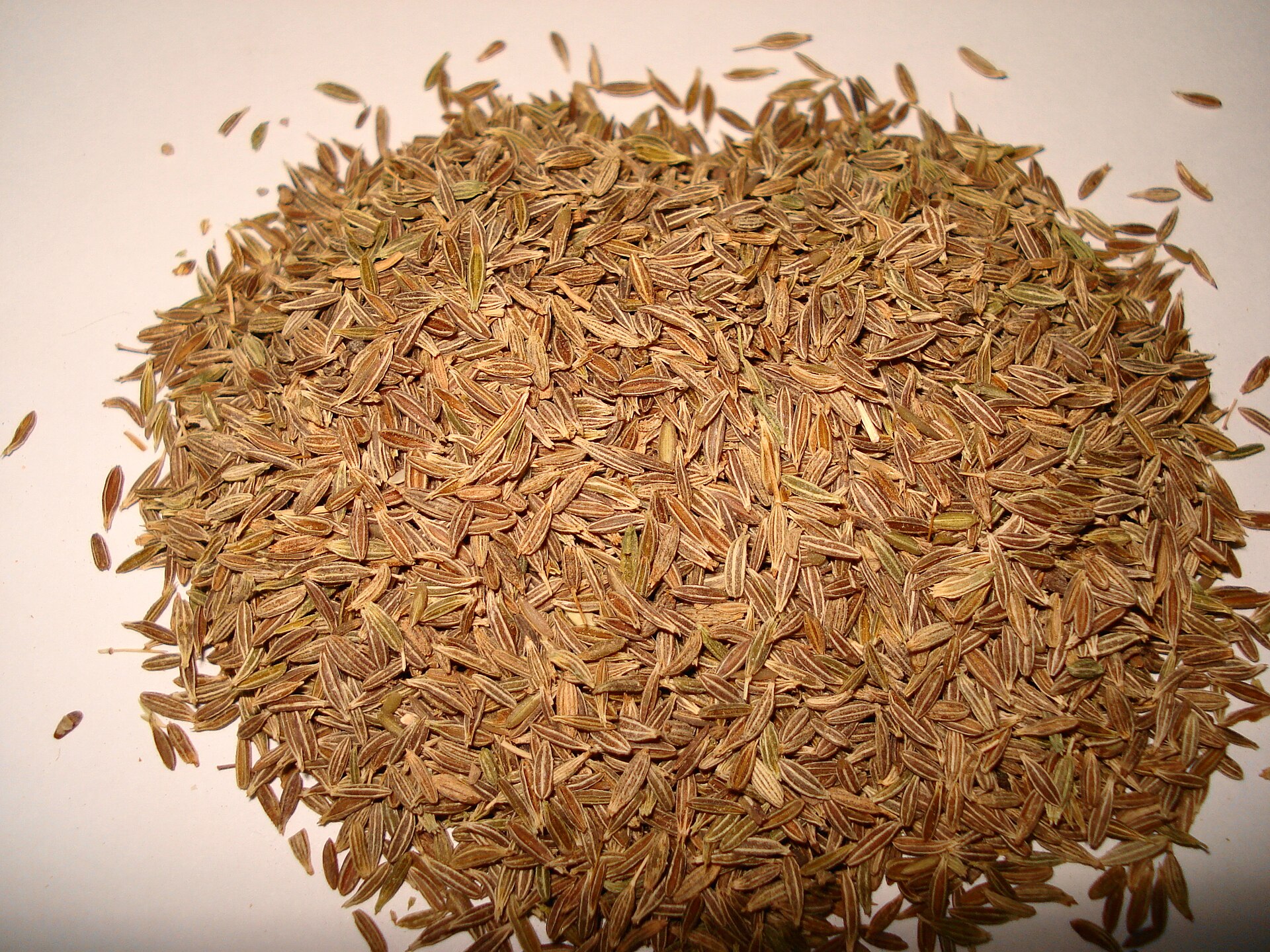 زیرهٔ سبز (Cumin) — Cuminum cyminum