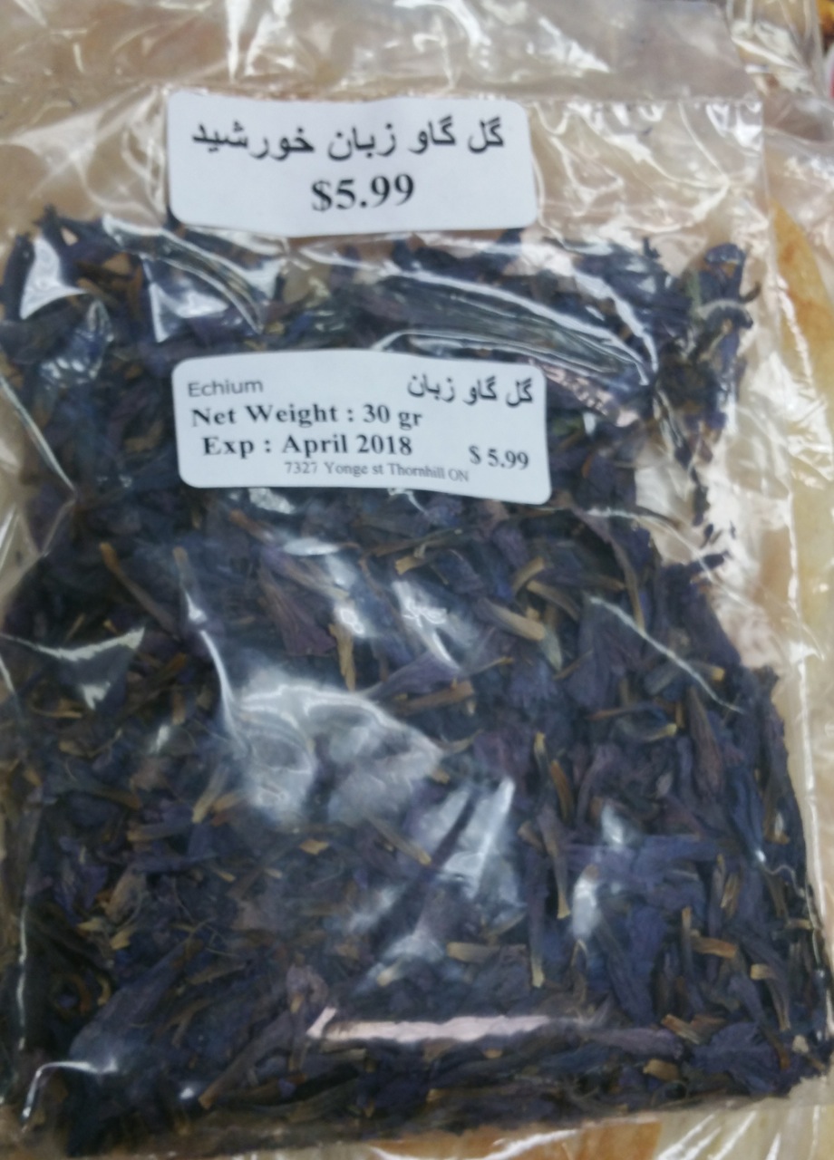 گل گاوزبان (Iranian borage) — Echium amoenum